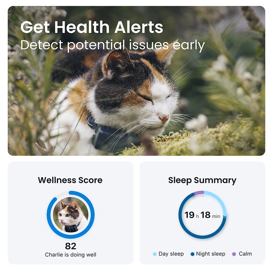 Tractive GPS Cat Mini Tracker & Activity Monitor for Cats – Black